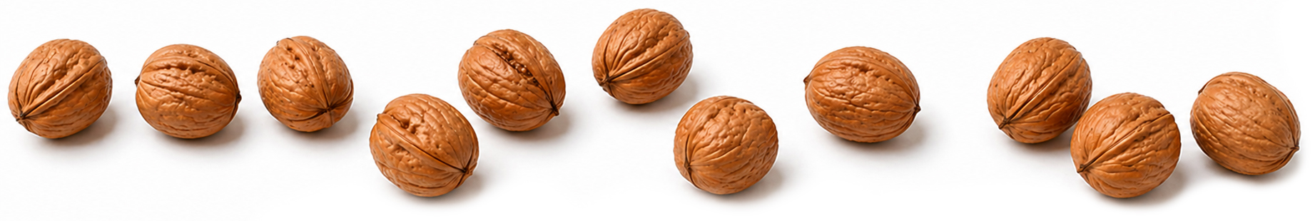 walnuts