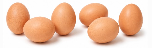 eggs