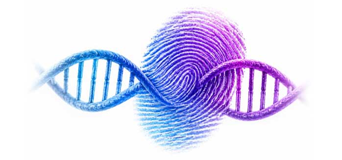 fingerprint and dna