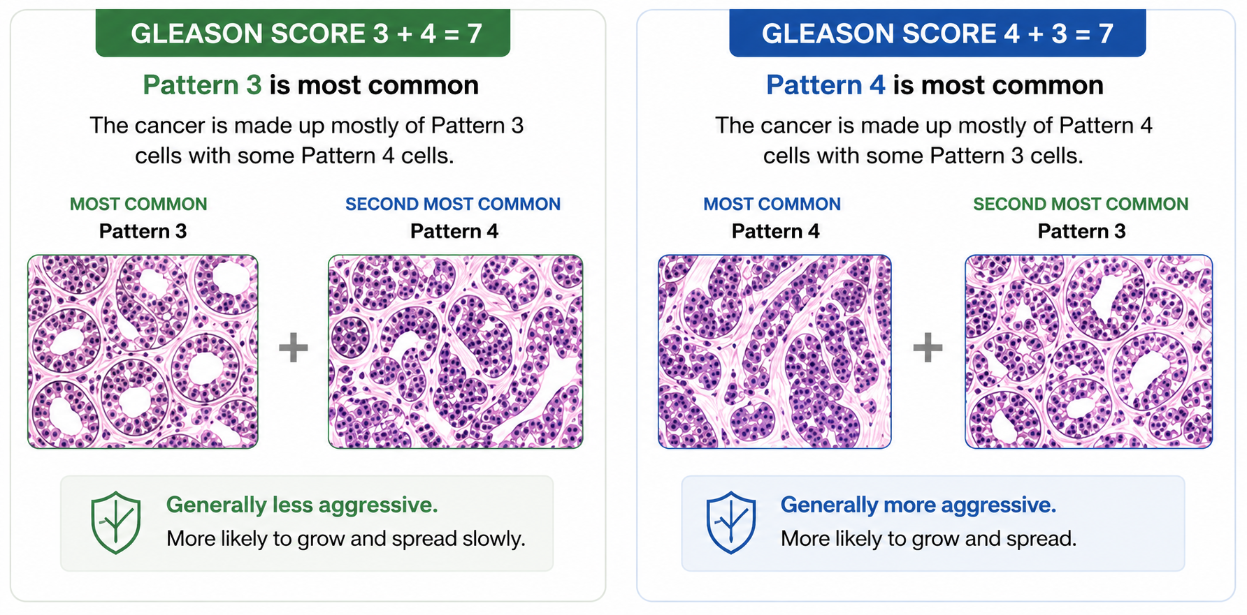 gleason score