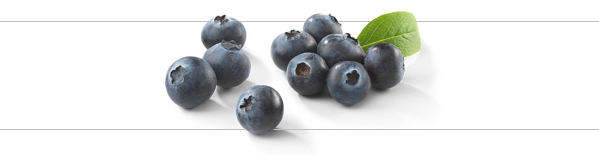 Proton Therapy BOB Tales blueberries